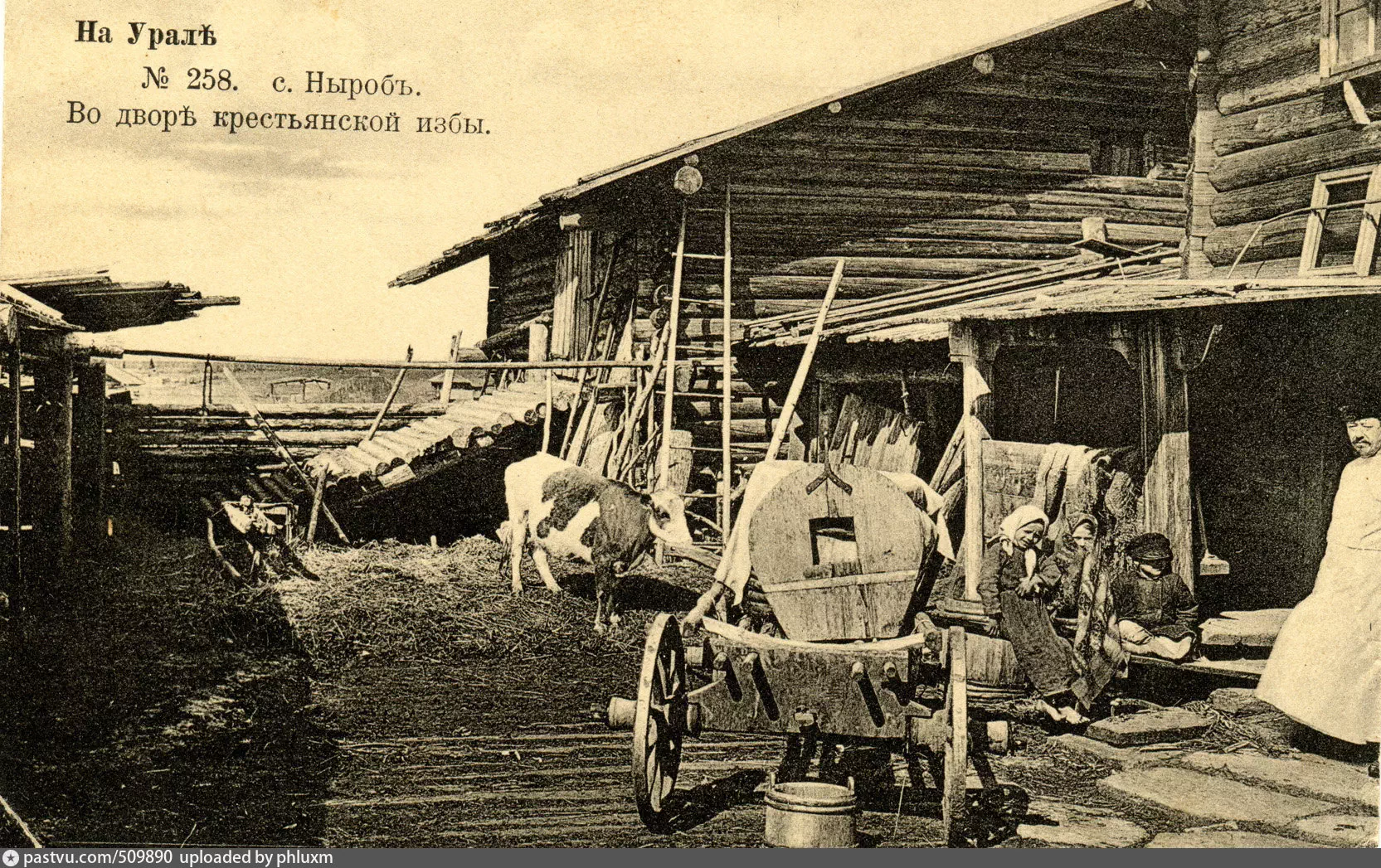 Жизнь и быт крестьян Чердынского уезда в конце XIX века